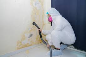 Kings Bay Base, GA Mold Removal Company